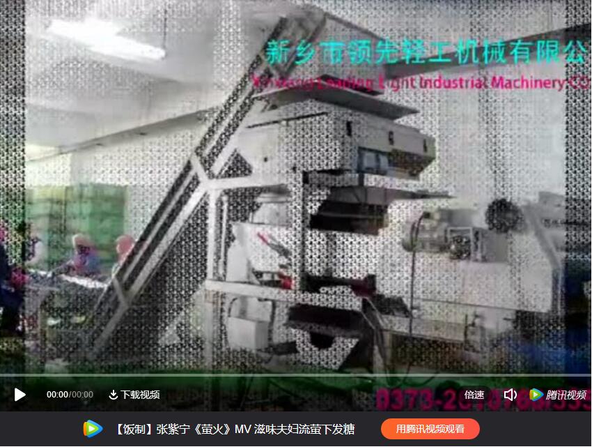 振动式葡萄除梗粒选一体机