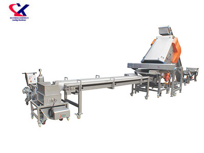 宁夏葡萄除梗粒选生产线