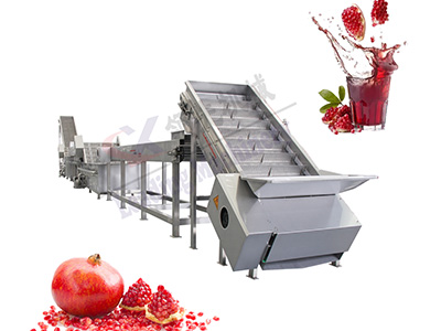 宁夏石榴果汁生产线